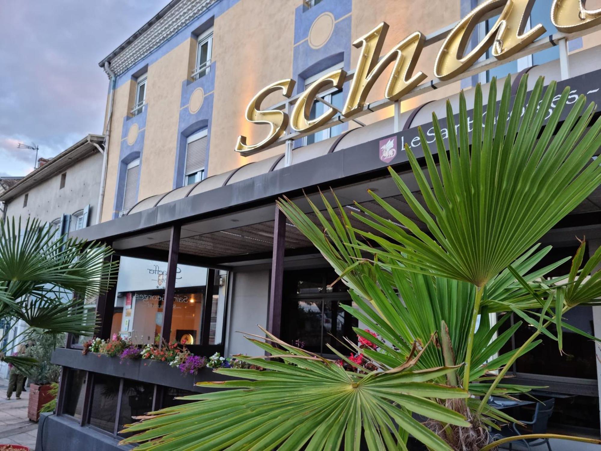 Logis Hotel Schaeffer- Restaurant Le Saint Georges Serrières-en-Chautagne Extérieur photo